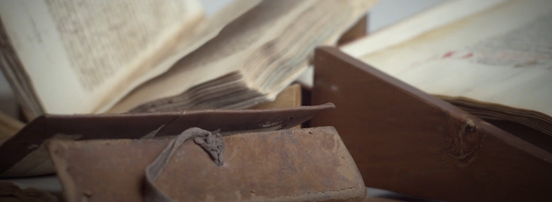 Volumi antichi in deposito, dettaglio dei dorsi e delle carte