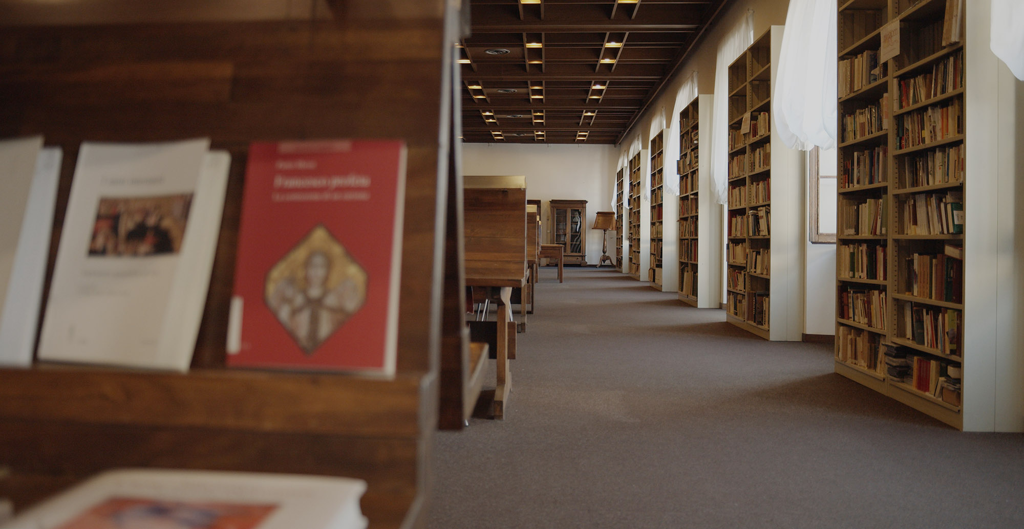 Custode della cultura sedimentata nei libri