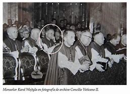 73. L’apostolato dei laici (segue)